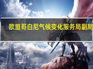 欧盟哥白尼气候变化服务局副局长：厄尔尼诺现象已出现 全球明年或更热
