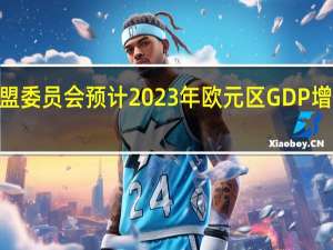 欧盟委员会预计2023年欧元区GDP增长率为0.8%2024年为1.3%较5月份的预期分别下调了1.1%和1.6%