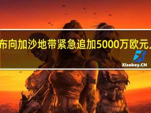 欧盟宣布向加沙地带紧急追加5000万欧元人道主义援助