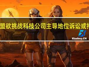 欧盟欲挑战科技公司主导地位诉讼或持续数年