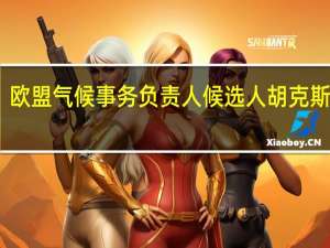 欧盟气候事务负责人候选人胡克斯特拉：严峻的地缘政治局势对气候问题产生了压力