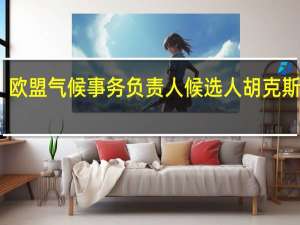 欧盟气候事务负责人候选人胡克斯特拉：将寻求全球航空征税的支持
