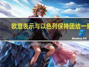 欧盟表示与以色列保持团结一致