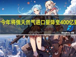 欧盟预计今年将俄天然气进口量降至400亿到450亿立方米
