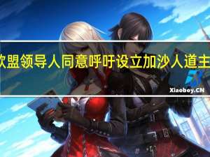 欧盟领导人同意呼吁设立加沙人道主义走廊