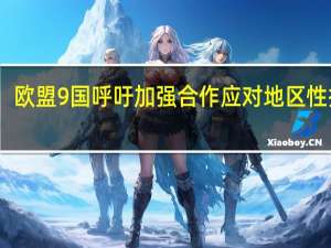 欧盟9国呼吁加强合作应对地区性挑战