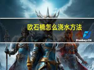 欧石楠怎么浇水方法