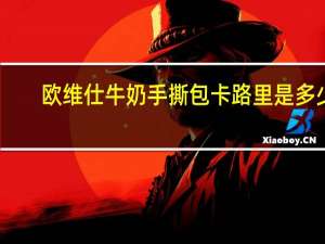欧维仕牛奶手撕包卡路里是多少