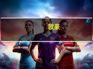 欧豪（关于欧豪的介绍）