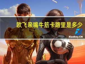 欧飞 亲嘴牛筋卡路里是多少