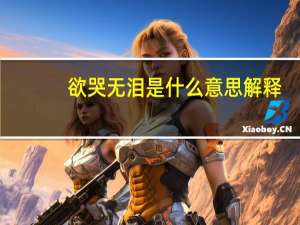欲哭无泪是什么意思解释（欲哭无泪是什么意思）