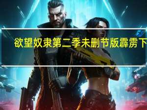 欲望奴隶第二季未删节版霹雳下载
