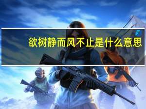 欲树静而风不止是什么意思