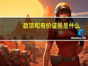 款项和有价证券是什么