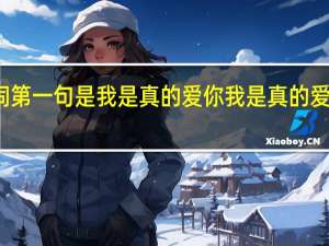 歌词第一句是我是真的爱你 我是真的爱你李宗盛