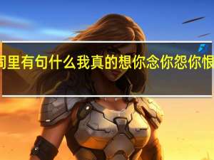 歌词里有句什么我真的想你念你怨你恨你什么的