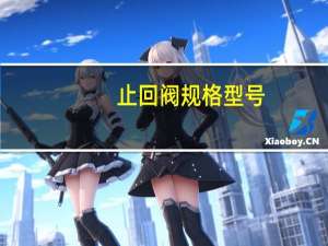 止回阀规格型号