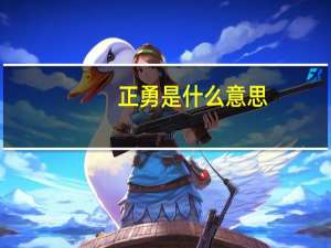 正勇是什么意思