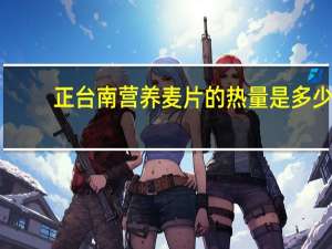 正台南 营养麦片的热量是多少