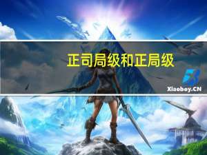 正司局级和正局级（正司局级）