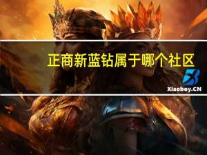 正商新蓝钻属于哪个社区（正商新蓝钻简介）