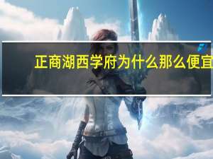 正商湖西学府为什么那么便宜