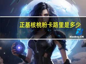 正基 核桃粉卡路里是多少