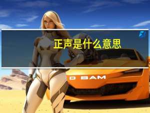 正声是什么意思