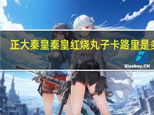 正大秦皇 秦皇红烧丸子卡路里是多少