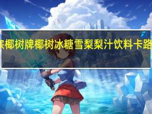 正宗椰树牌 椰树 冰糖雪梨梨汁饮料卡路里是多少