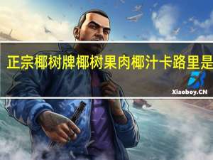 正宗椰树牌 椰树 果肉椰汁卡路里是多少