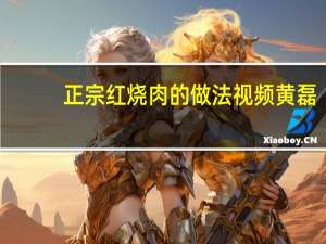 正宗红烧肉的做法视频黄磊（正宗红烧肉的做法）