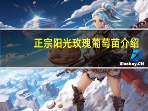 正宗阳光玫瑰葡萄苗介绍