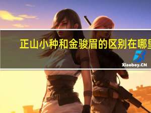 正山小种和金骏眉的区别在哪里
