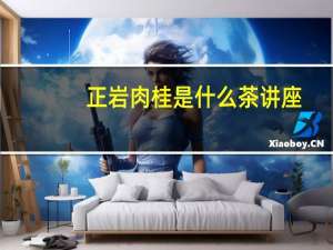 正岩肉桂是什么茶讲座（正岩肉桂是什么茶）