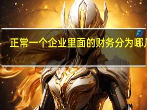 正常一个企业里面的财务分为哪几种，各自的职责又分别是什么