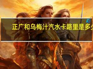 正广和乌梅汁汽水卡路里是多少