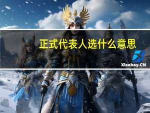 正式代表人选什么意思