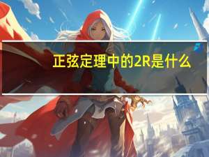 正弦定理中的2R是什么