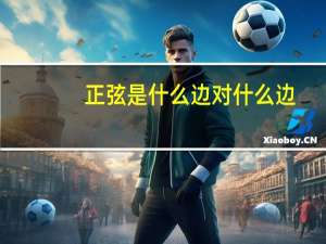 正弦是什么边对什么边