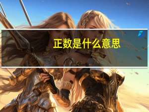 正数是什么意思