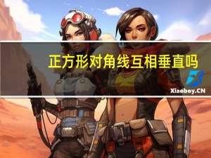 正方形对角线互相垂直吗