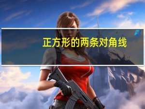 正方形的两条对角线