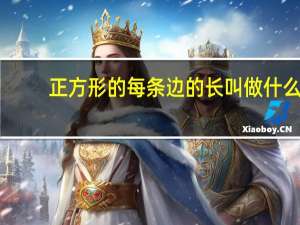 正方形的每条边的长叫做什么
