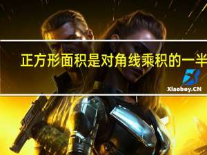 正方形面积是对角线乘积的一半吗