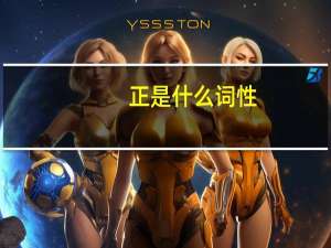 正是什么词性
