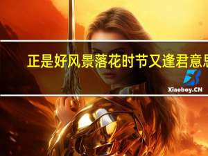 正是好风景落花时节又逢君意思