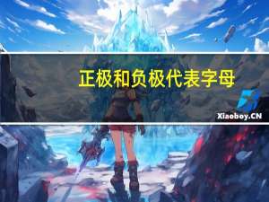 正极和负极代表字母