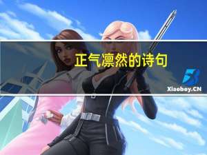 正气凛然的诗句