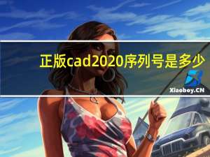 正版cad2020序列号是多少（正版cad多少钱）